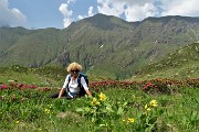 81 Tra distese di rododendri con vista in Cimone